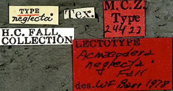 Media type: image;   Entomology 24423 Aspect: labels